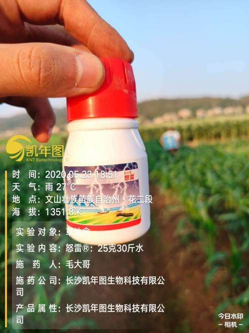 12小时能干什么？——揭秘“施之至网络”的高效哲学与温度实践